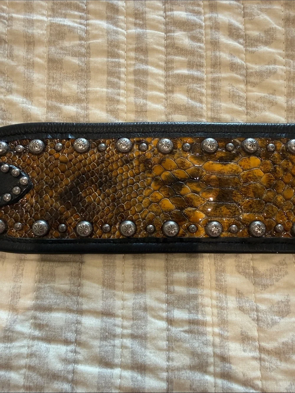 Double J Saddlery Studded Western Belt with Ornate Silver Buckle